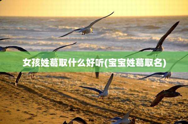 女孩姓葛取什么好听(宝宝姓葛取名)
