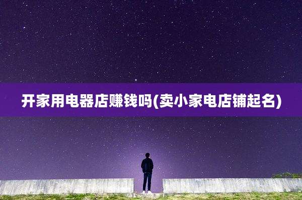 开家用电器店赚钱吗(卖小家电店铺起名)
