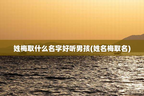 姓梅取什么名字好听男孩(姓名梅取名)
