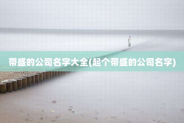 带盛的公司名字大全(起个带盛的公司名字)
