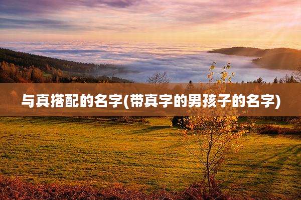 与真搭配的名字(带真字的男孩子的名字)