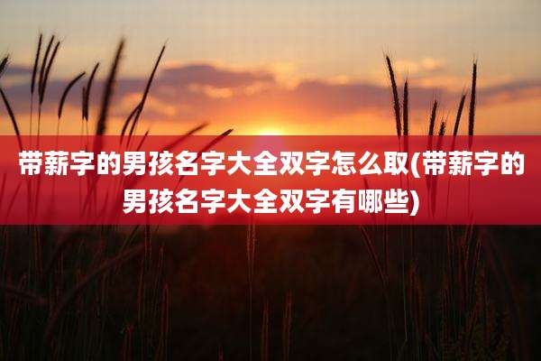 带薪字的男孩名字大全双字怎么取(带薪字的男孩名字大全双字有哪些)