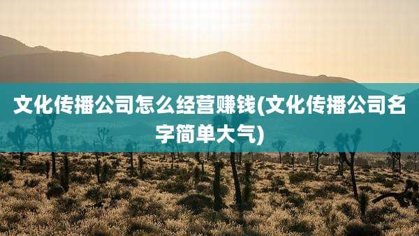 文化传播公司怎么经营赚钱(文化传播公司名字简单大气)