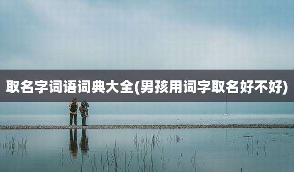 取名字词语词典大全(男孩用词字取名好不好)