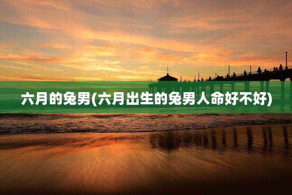 六月的兔男(六月出生的兔男人命好不好)