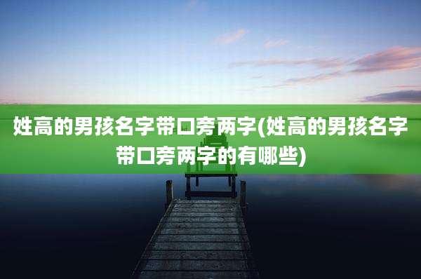 姓高的男孩名字带口旁两字(姓高的男孩名字带口旁两字的有哪些)