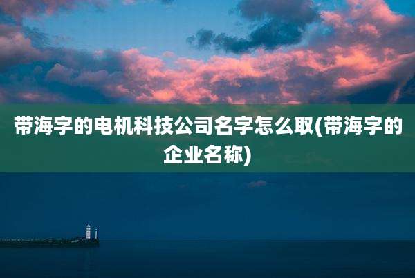 带海字的电机科技公司名字怎么取(带海字的企业名称)