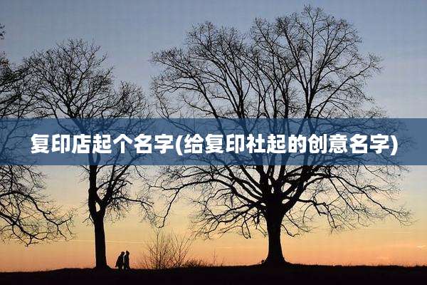 复印店起个名字(给复印社起的创意名字)