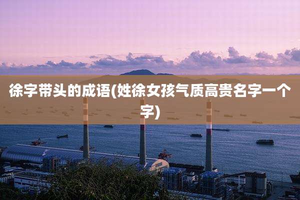 徐字带头的成语(姓徐女孩气质高贵名字一个字)