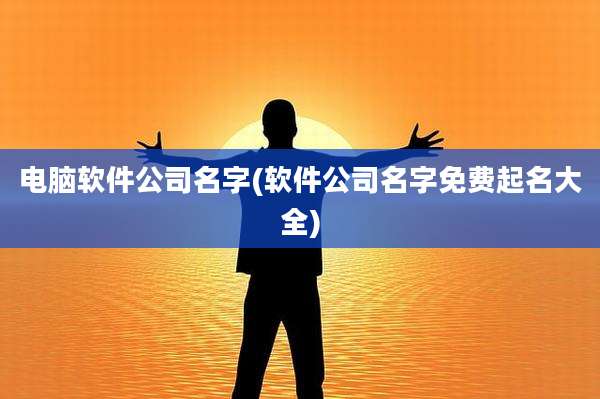 电脑软件公司名字(软件公司名字免费起名大全)