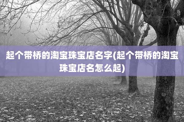 起个带桥的淘宝珠宝店名字(起个带桥的淘宝珠宝店名怎么起)