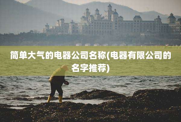 简单大气的电器公司名称(电器有限公司的名字推荐)