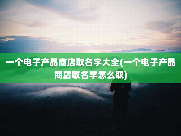 一个电子产品商店取名字大全(一个电子产品商店取名字怎么取)