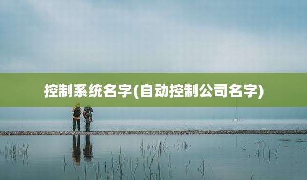 控制系统名字(自动控制公司名字)