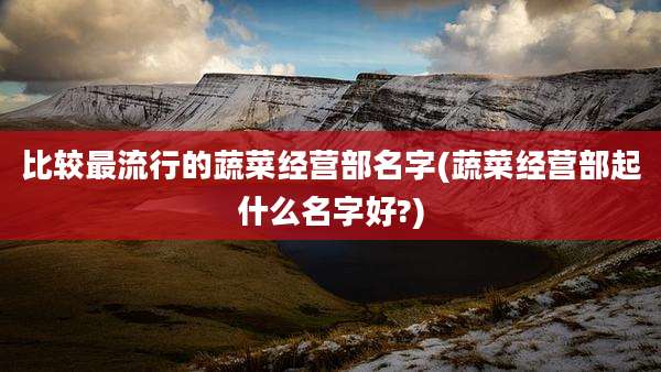 比较最流行的蔬菜经营部名字(蔬菜经营部起什么名字好?)