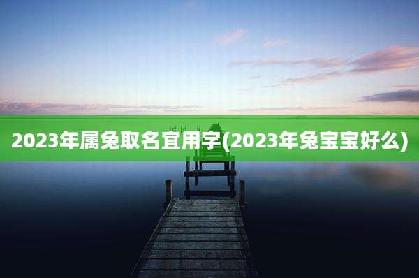 2023年属兔取名宜用字(2023年兔宝宝好么)