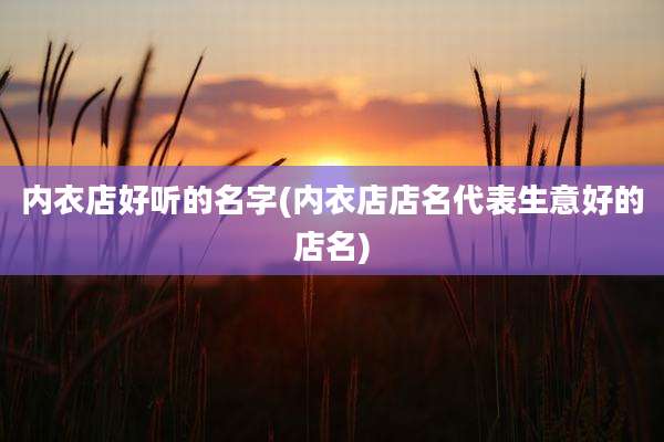 内衣店好听的名字(内衣店店名代表生意好的店名)