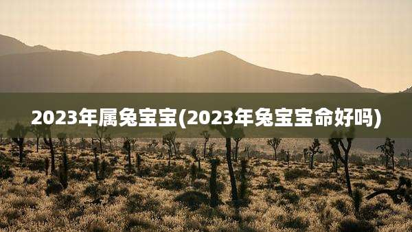 2023年属兔宝宝(2023年兔宝宝命好吗)