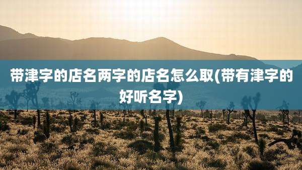 带津字的店名两字的店名怎么取(带有津字的好听名字)