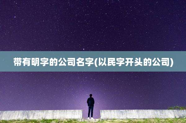 带有明字的公司名字(以民字开头的公司)