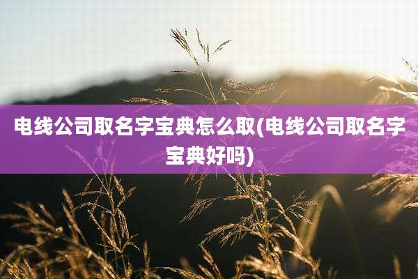 电线公司取名字宝典怎么取(电线公司取名字宝典好吗)
