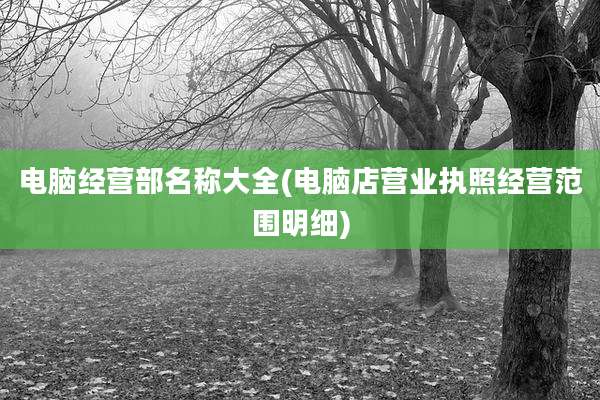 电脑经营部名称大全(电脑店营业执照经营范围明细)
