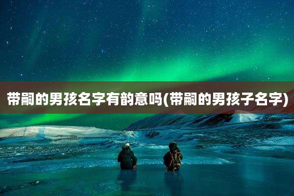 带嗣的男孩名字有韵意吗(带嗣的男孩子名字)