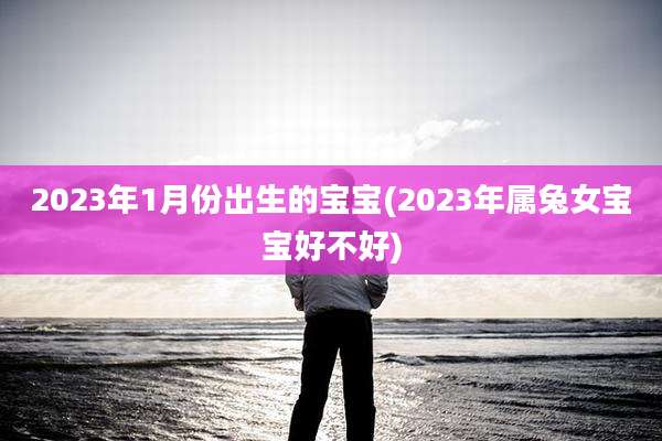 2023年1月份出生的宝宝(2023年属兔女宝宝好不好)