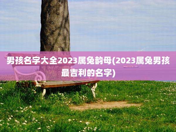 男孩名字大全2023属兔韵母(2023属兔男孩最吉利的名字)