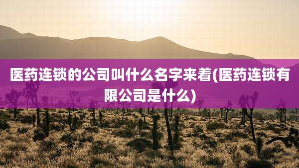医药连锁的公司叫什么名字来着(医药连锁有限公司是什么)