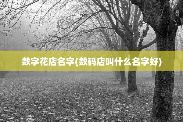 数字花店名字(数码店叫什么名字好)