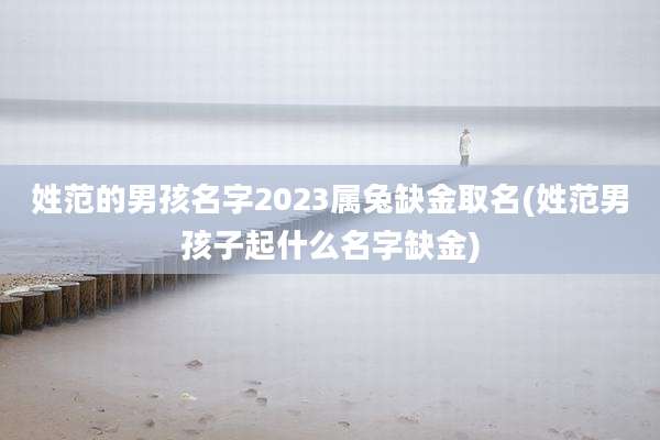 姓范的男孩名字2023属兔缺金取名(姓范男孩子起什么名字缺金)