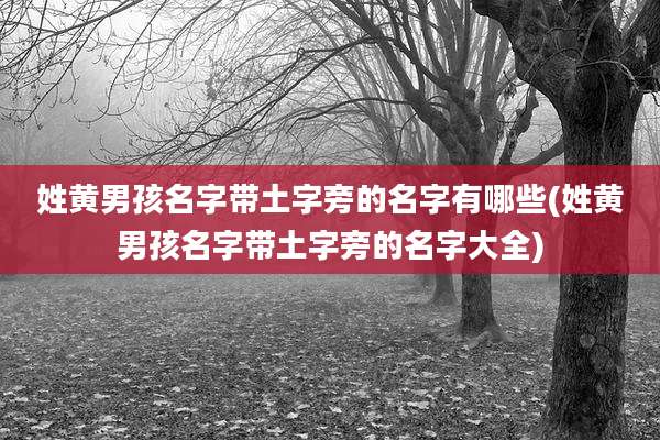 姓黄男孩名字带土字旁的名字有哪些(姓黄男孩名字带土字旁的名字大全)