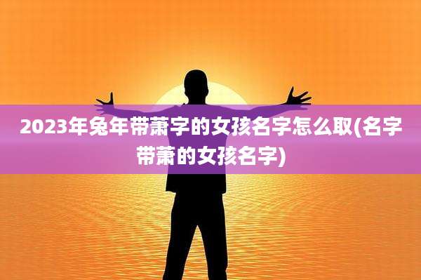 2023年兔年带萧字的女孩名字怎么取(名字带萧的女孩名字)