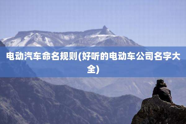 电动汽车命名规则(好听的电动车公司名字大全)