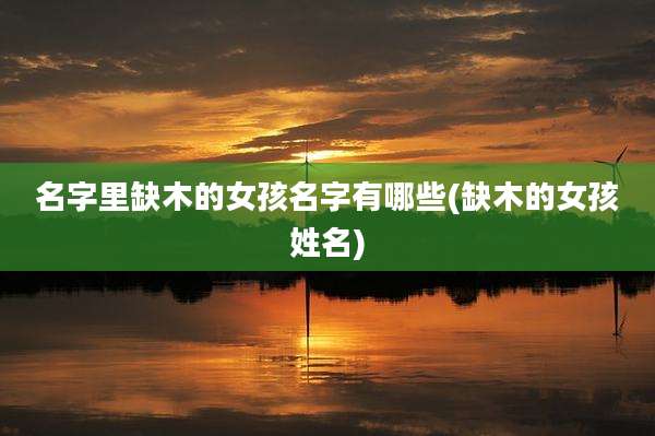 名字里缺木的女孩名字有哪些(缺木的女孩姓名)