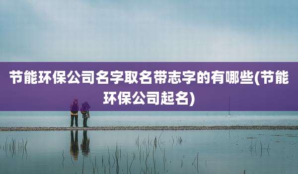 节能环保公司名字取名带志字的有哪些(节能环保公司起名)
