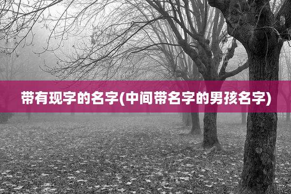 带有现字的名字(中间带名字的男孩名字)