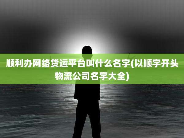 顺利办网络货运平台叫什么名字(以顺字开头物流公司名字大全)