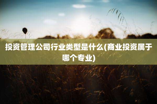 投资管理公司行业类型是什么(商业投资属于哪个专业)