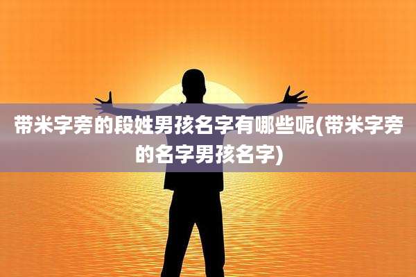 带米字旁的段姓男孩名字有哪些呢(带米字旁的名字男孩名字)