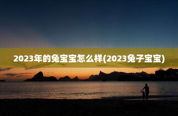 2023年的兔宝宝怎么样(2023兔子宝宝)
