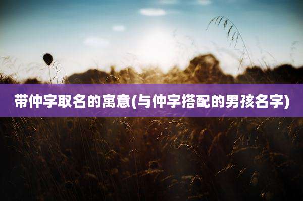 带仲字取名的寓意(与仲字搭配的男孩名字)