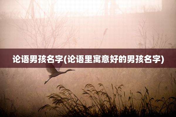 论语男孩名字(论语里寓意好的男孩名字)