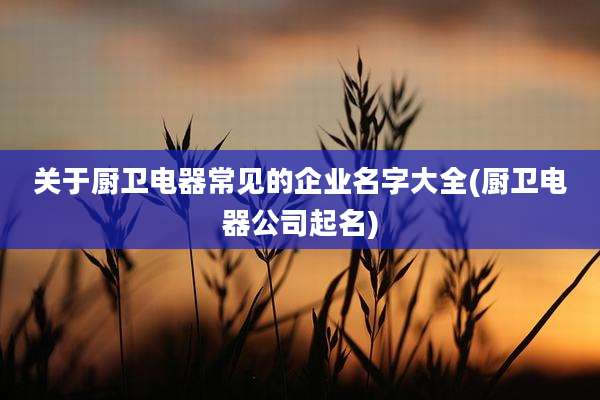关于厨卫电器常见的企业名字大全(厨卫电器公司起名)