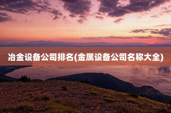 冶金设备公司排名(金属设备公司名称大全)