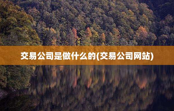交易公司是做什么的(交易公司网站)