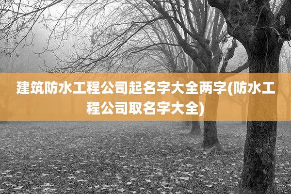 建筑防水工程公司起名字大全两字(防水工程公司取名字大全)