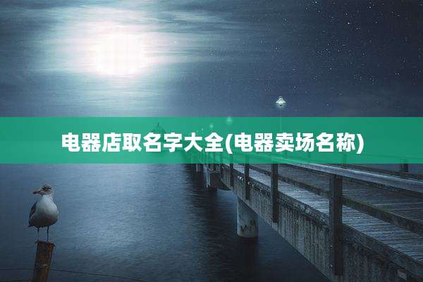 电器店取名字大全(电器卖场名称)