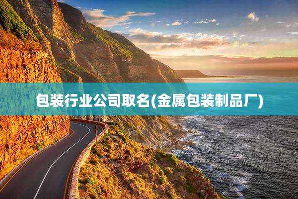包装行业公司取名(金属包装制品厂)